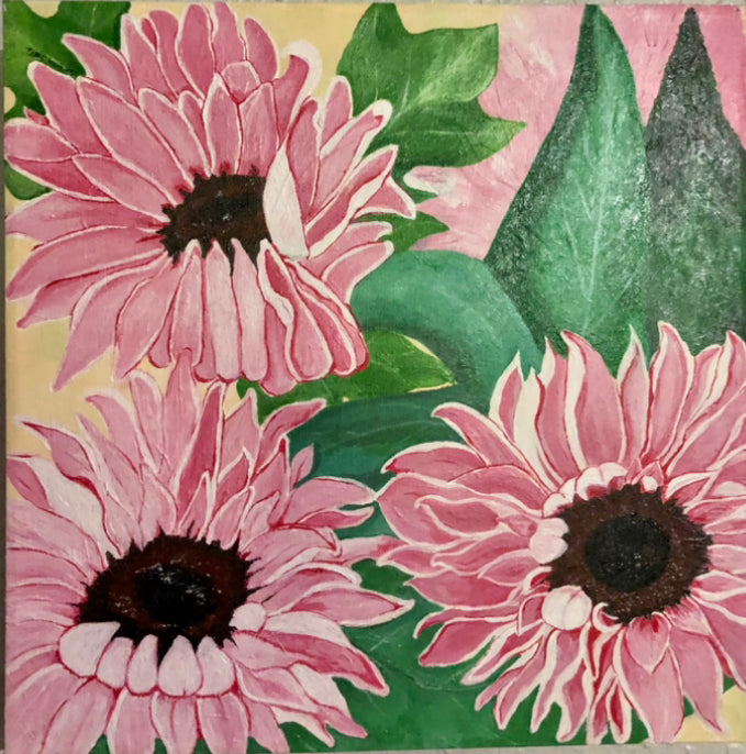 Pink Sunflowers