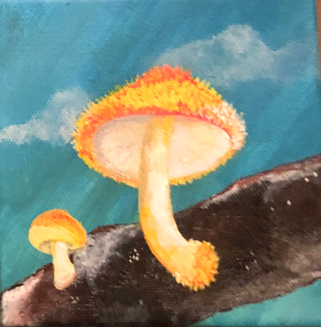 Firecap on the Log