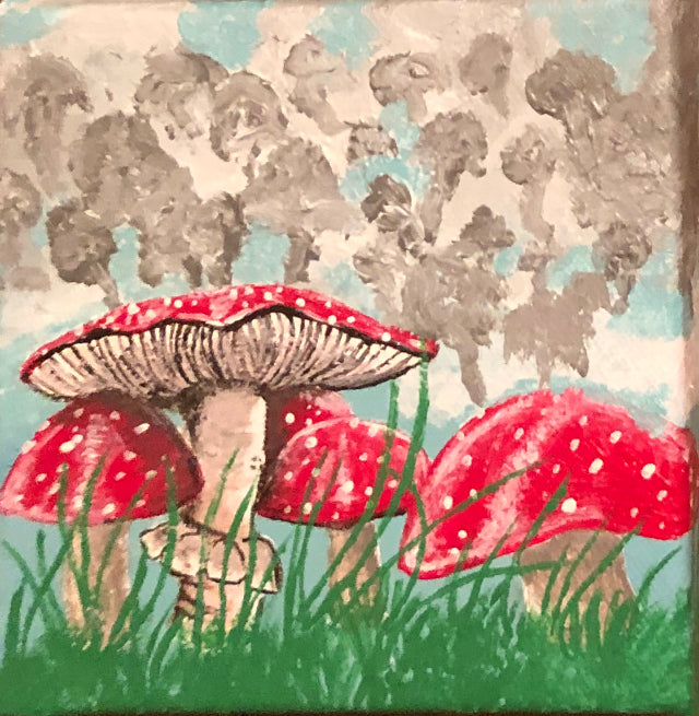 Amanita Meadow