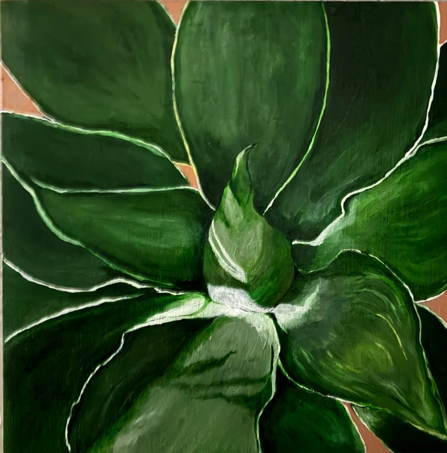 Agave Star