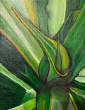 Agave Light